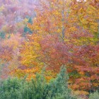 Oct08-064.jpg