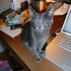 2007-10-Sharon97.jpg