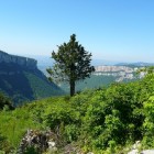 Juin08-038.jpg