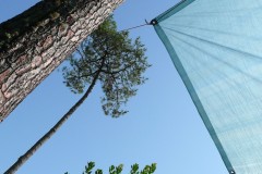 2 semaines dans les Landes, août 09.