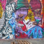 Graffitis 5Pointz (Queens)