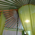 Au dessus de ma tête, un rêve de vert et d\'orange
