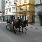VienneMai05-022.jpg